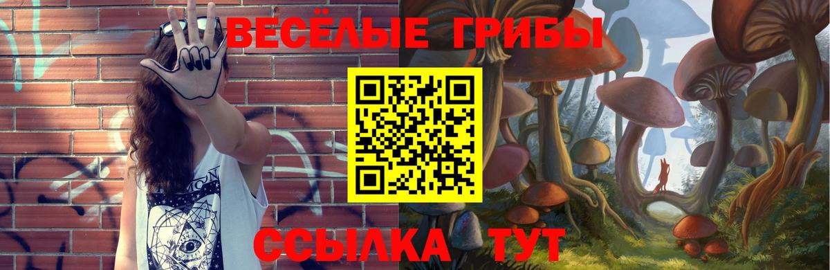 Псилоцибиновые грибы Psilocybe  Вход с VPN  Нефтеюганск 